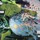 Illustration for article titled emImmortal Hulk/em smashes the universe in an apocalyptic milestone issue